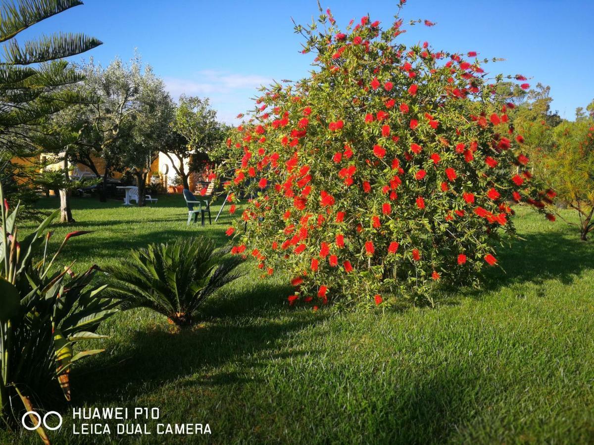 B&B Fiori Di Pesco Fertilia Εξωτερικό φωτογραφία